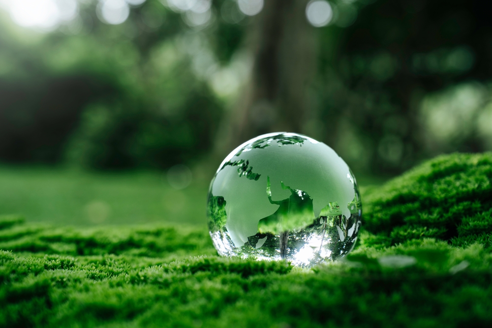 Crystal,Globe,Glass,On,Green,Moss,In,Forest,To,Protect